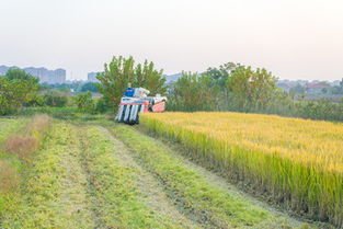 反食品浪费法通过，具体规定了些什么？