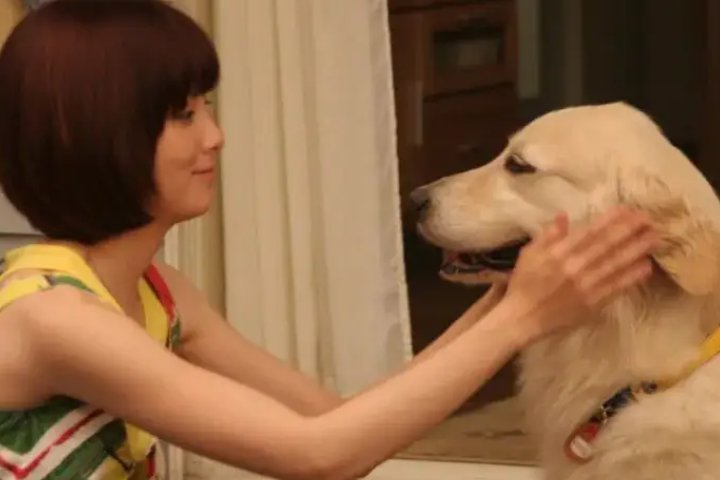 关于狗狗的电影有哪些