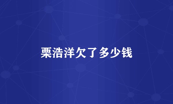 栗浩洋欠了多少钱