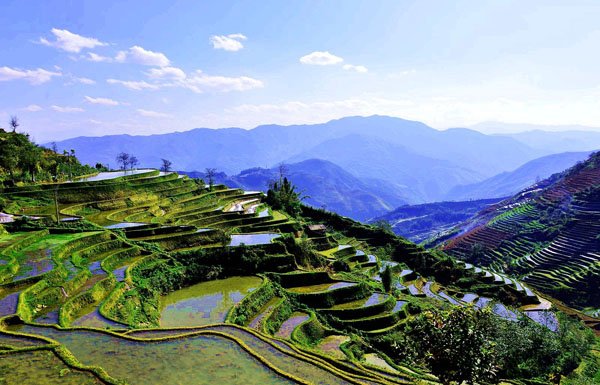 红河哈尼梯田的介绍