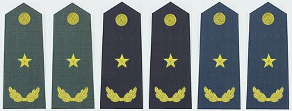 部队的肩章是怎样区分