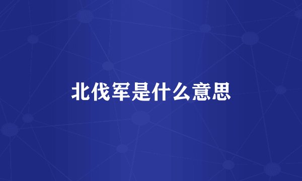 北伐军是什么意思