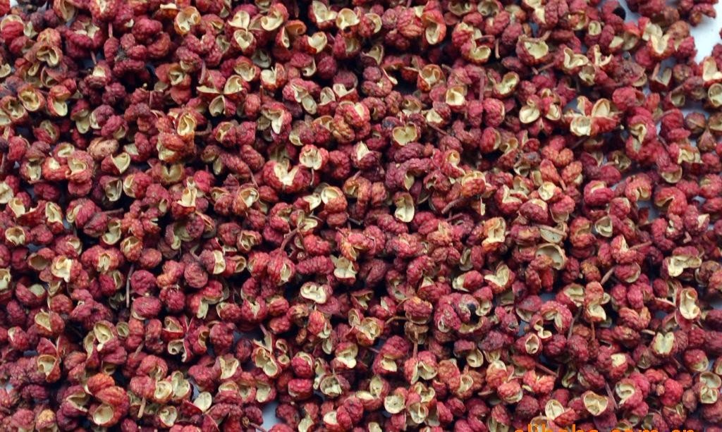 我国花椒的主产地是哪里？