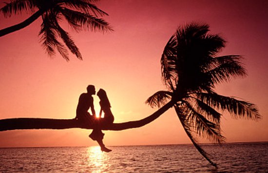 1219是什么意思？ 代表什么？