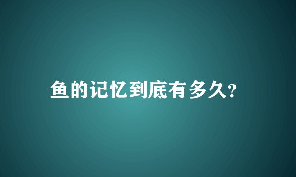 鱼的记忆到底有多久？