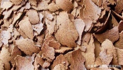 许多农民喜欢用油枯作为蔬菜种植的肥料，油枯到底有什么用？