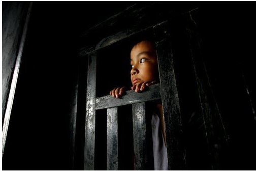 《我的弟弟小萝卜头》的作者是谁？