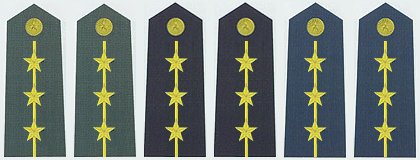 部队的肩章是怎样区分