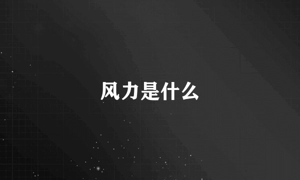 风力是什么