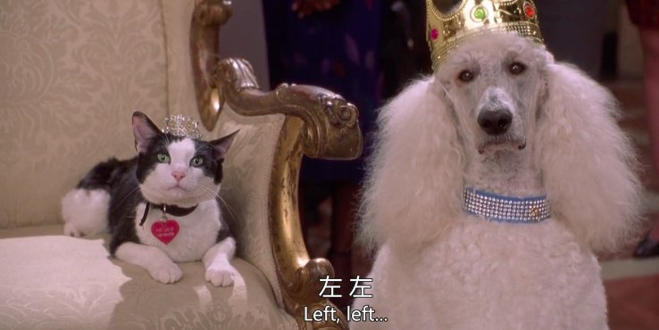 《公主日记》开拍第三季！安妮海瑟薇和梅姨再度合作，你认为这一系列的作品怎么样？