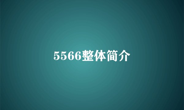 5566整体简介