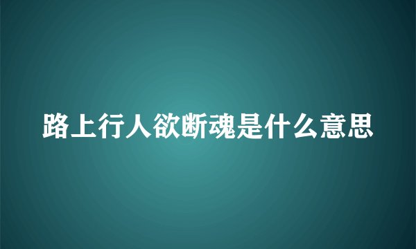 路上行人欲断魂是什么意思