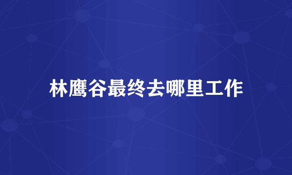 林鹰谷最终去哪里工作