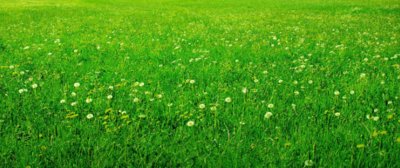 hm2是什么单位？