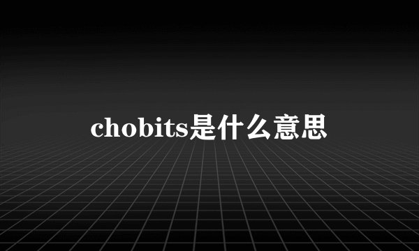 chobits是什么意思