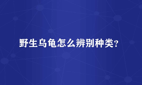 野生乌龟怎么辨别种类？