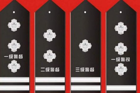 公安有警员和警司之分，警司是什么级别呢？
