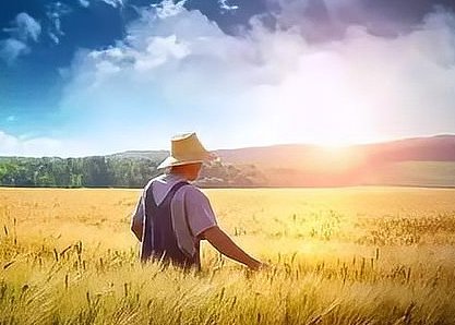 忆苦思甜下一句是什么？