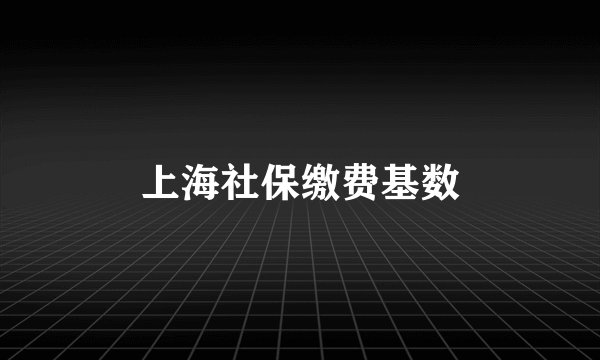 上海社保缴费基数