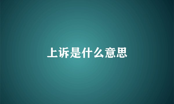 上诉是什么意思