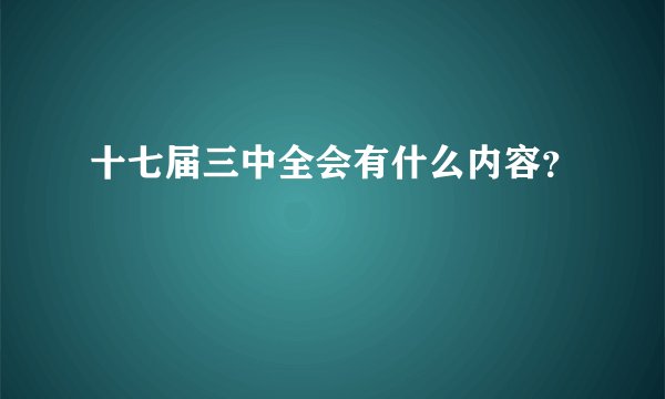 十七届三中全会有什么内容？