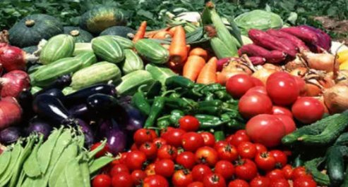 什么是无公害蔬菜？