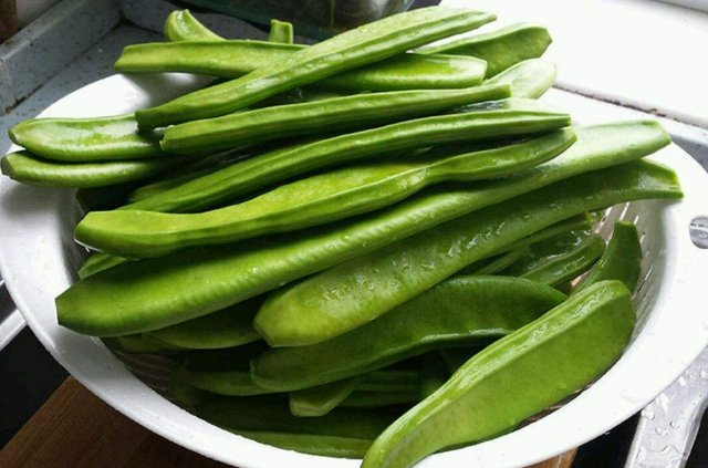 宁德特产有哪些?