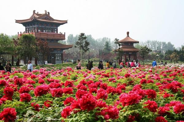 让古代帝王胆战心惊的“荧惑守心”,究竟是什么?