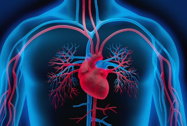 心跳过快怎么办