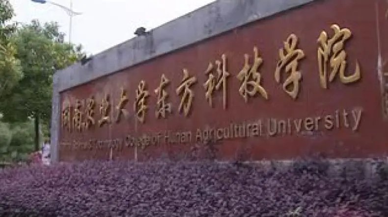 湖南农业大学东方科技学院是几本