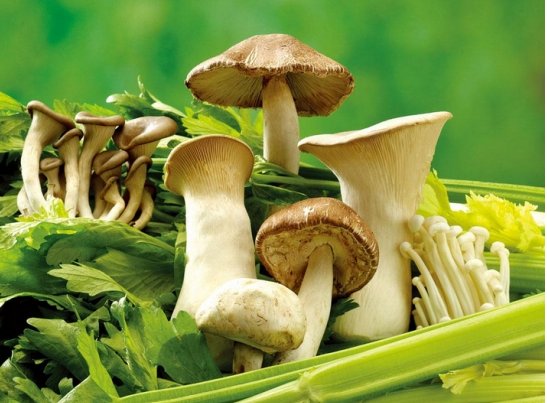 发物指的是哪些食物啊？