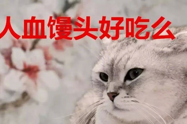 “人血馒头”的意思是什么呢？