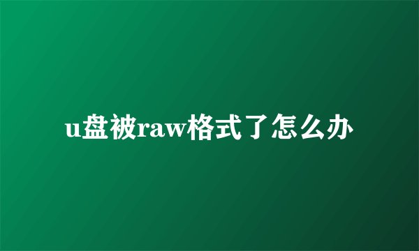 u盘被raw格式了怎么办