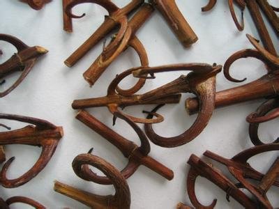 钩藤的功效与作用