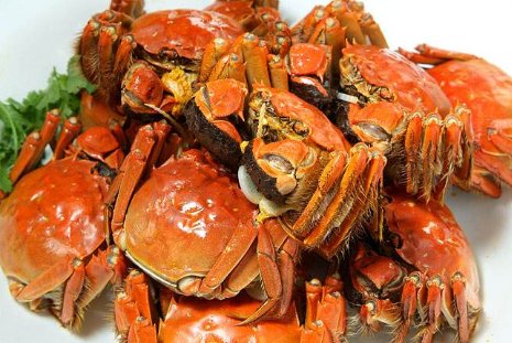 醉蟹的制作方法?