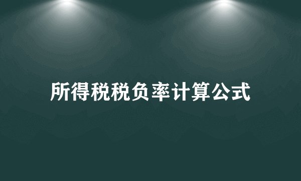 所得税税负率计算公式