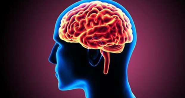 脑供血不足的症状有哪些?