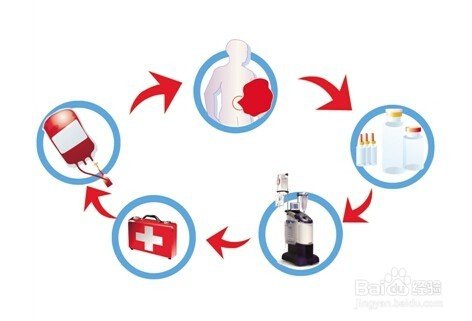 缺铁性贫血吃哪些食物好