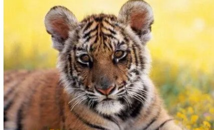 七月二十九日是什么日子