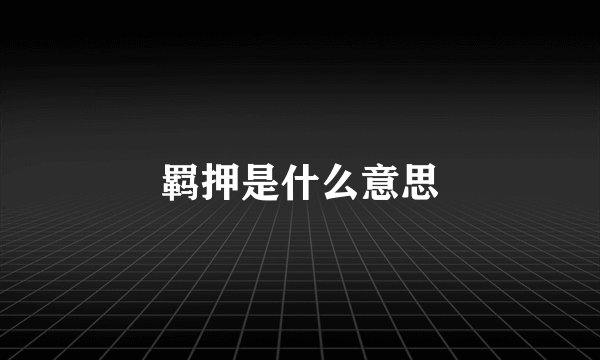 羁押是什么意思