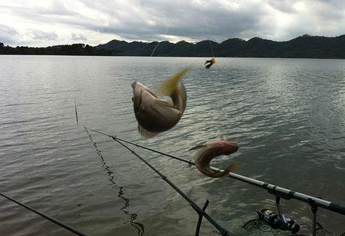 如何经营钓鱼场