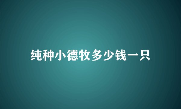纯种小德牧多少钱一只