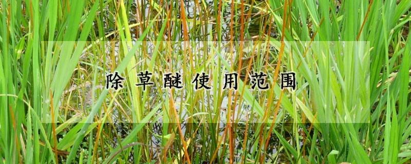 除草醚使用范围
