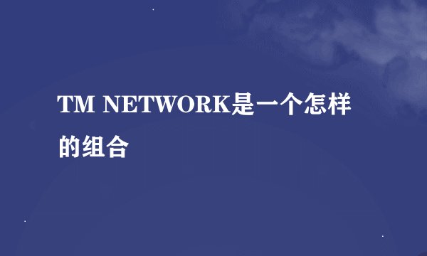 TM NETWORK是一个怎样的组合