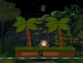 叶子保护伞的简介