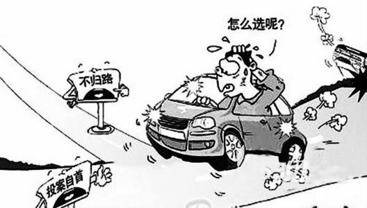 肇事的意思是什么