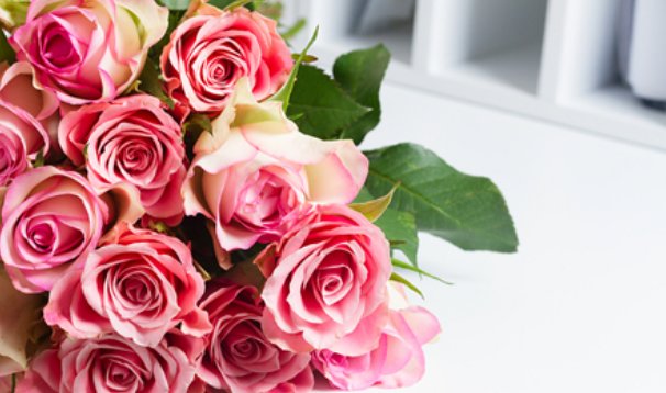 玫瑰送11朵还是19朵