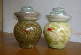 泡菜中的亚硝酸盐是怎样产生的？