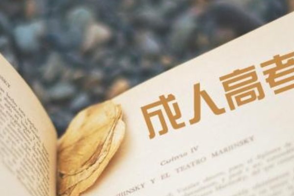 成人高考什么时候能查成绩啊？