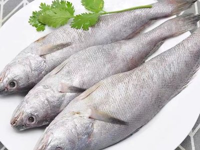 米鱼为什么不能吃头？